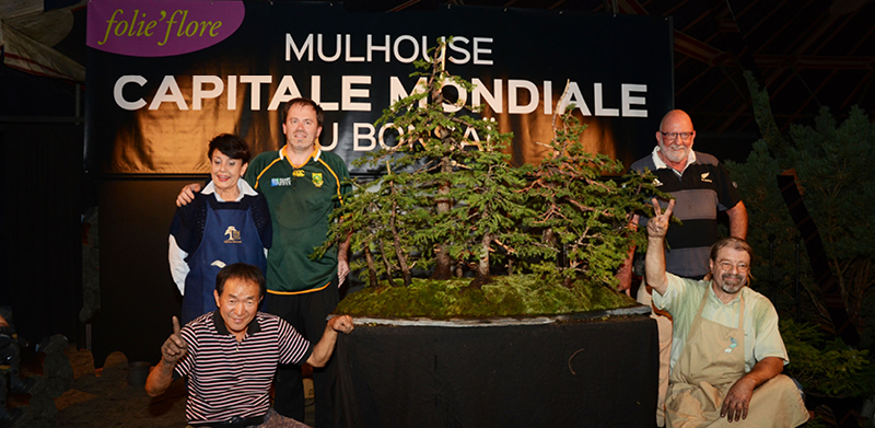 Mulhouse bonsai capital