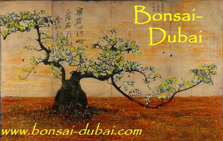 Bonsai-Dubai Big Banner1