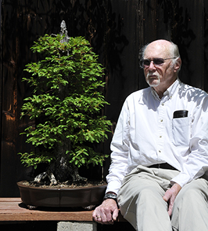 Old Man and His Favorite Cypress