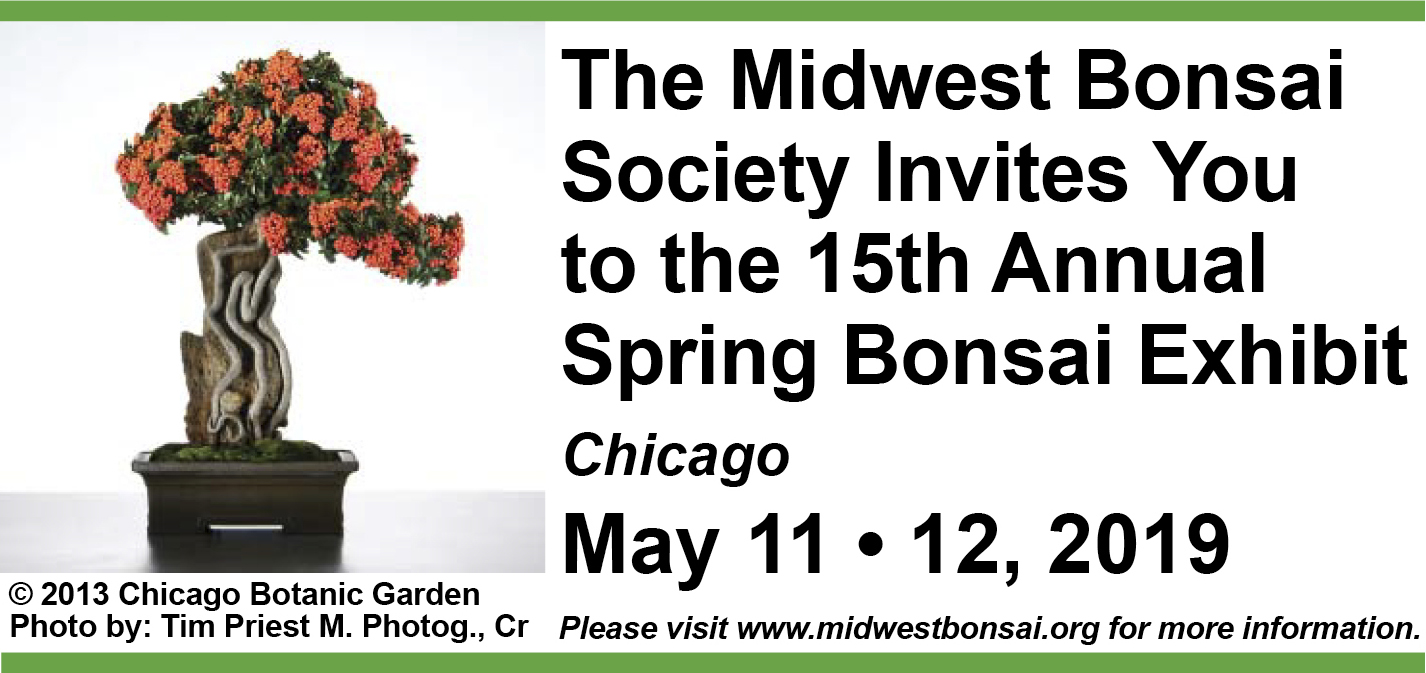 midwest bosai society spring 2019