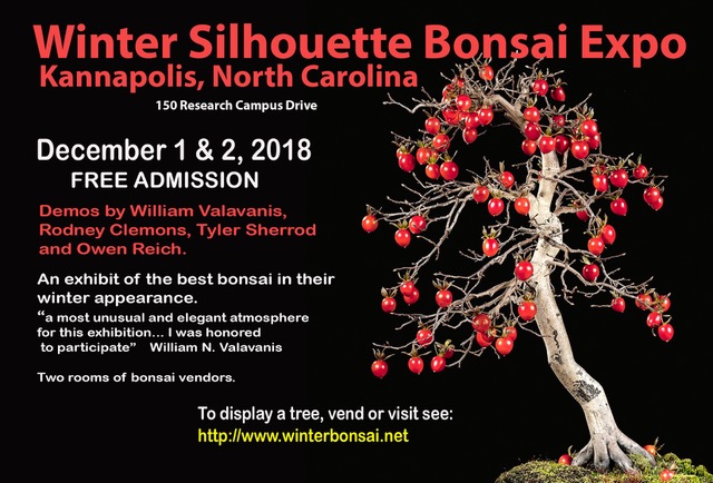 The 6th Winter Silhouette Bonsai Exposition