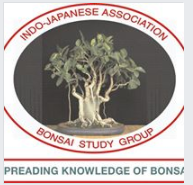 The Bonsai Study Group of The Indo Japanese Association