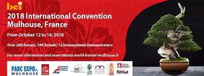 2018 BCI International Convention - Mulhouse