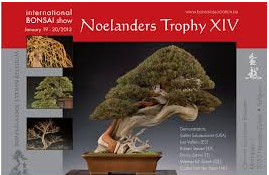 Noelanders Trophy XIX International Bonsai Show