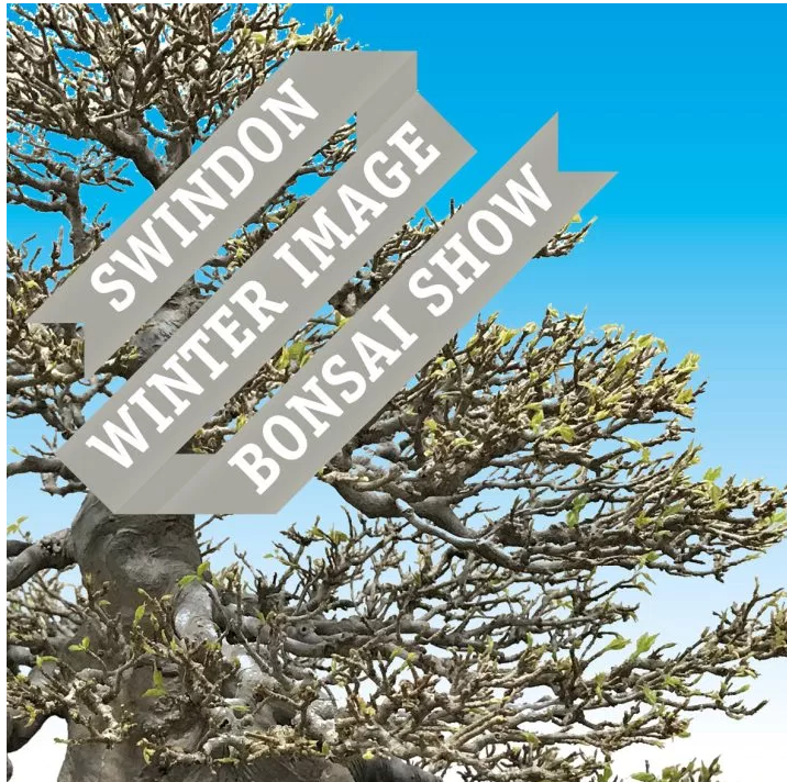 Swindon Winter Image Show