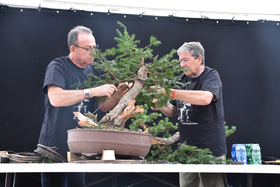 bci conv 2018 Ladagnous and Simon 1