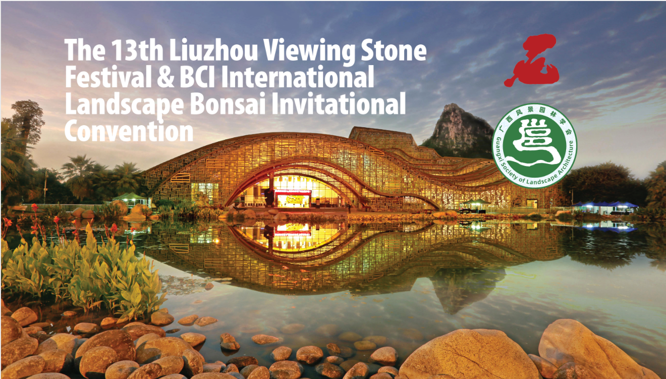 Liuzhou Convention 2024