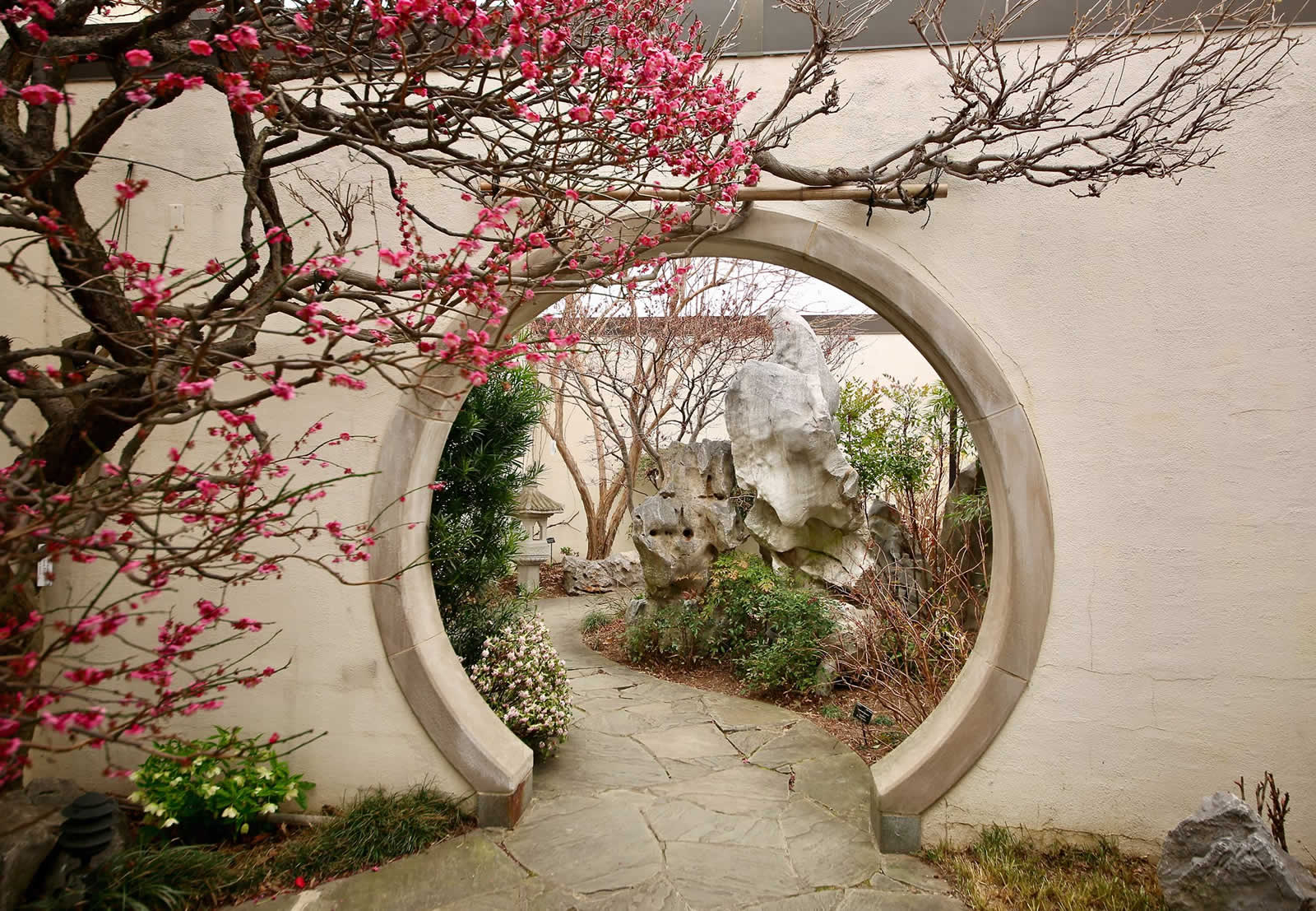 national bonsai penjing museum musee bonzai arbres art asiatique une