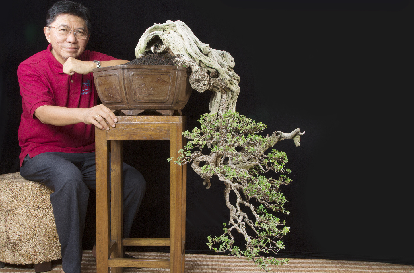 Cao thủ Bonsai Indonesia Budi Sulistyo