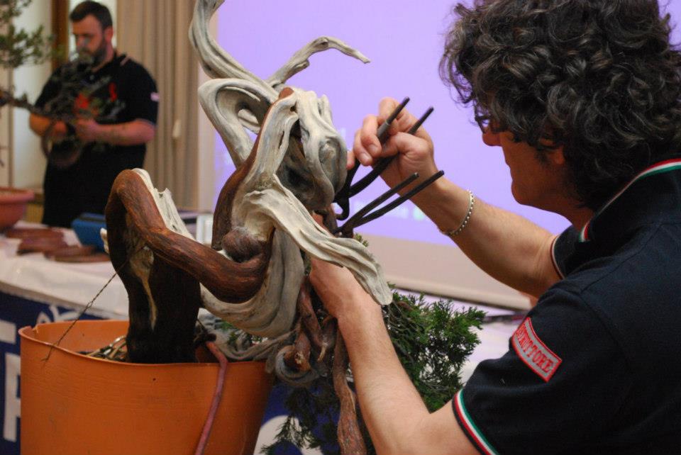 Marco Tarozzo BCI Bonsai Instuctor