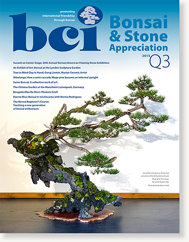 mag 2015Q3-cover-dropshadow 380