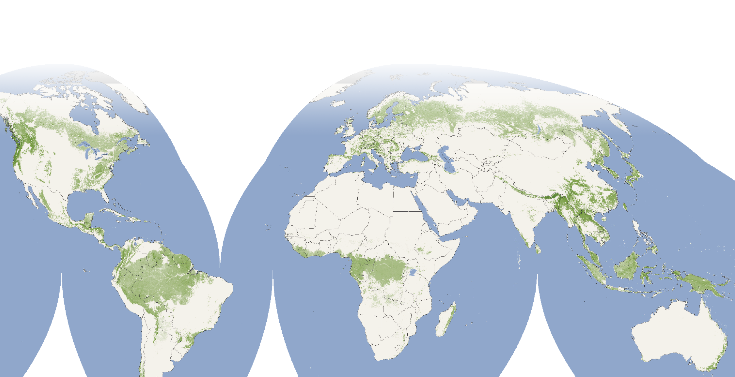 BCI about worldforests transparent