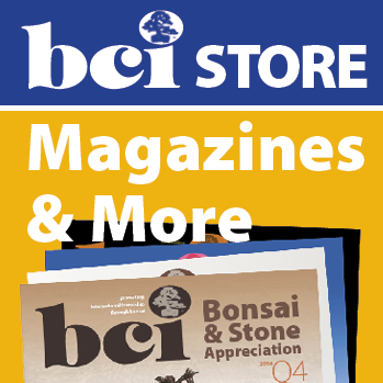 BCI icon store n more