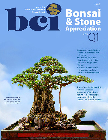 BSAM 2012 Q1 cover hero