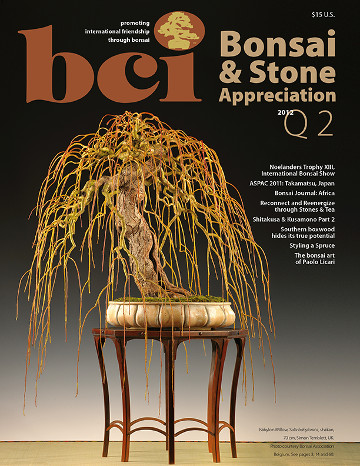 BSAM 2012 Q2 cover hero