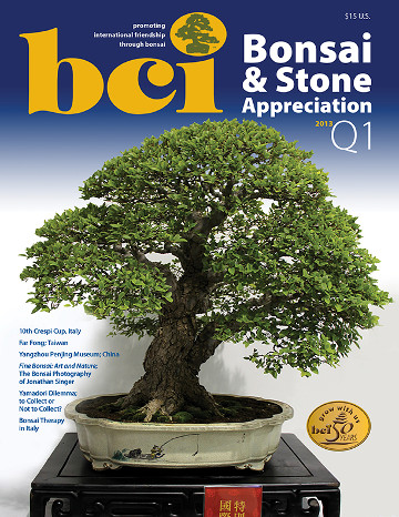 BSAM 2013 Q1 cover hero