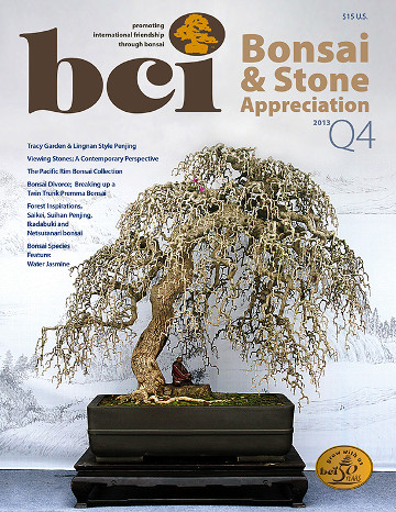 BSAM 2013 Q4 cover hero