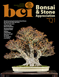 BSAM 14Q1 cover thumbnail
