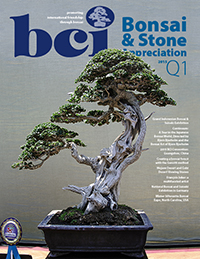 BSAM 15Q1 cover thumbnail