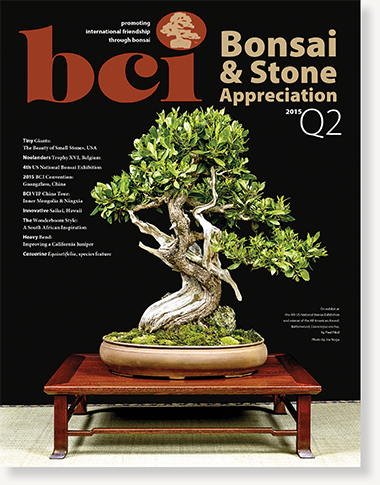 mag 2015Q2 cover dropshadow 02