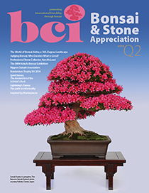 BSAM-14Q2-cover-thumbnail