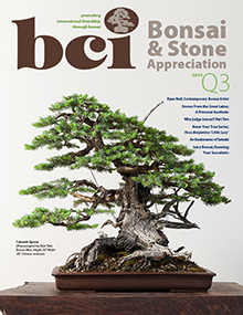 BSAM-14Q3-cover-thumbnail