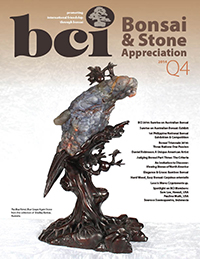 BSAM-14Q4-cover-thumbnail