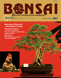 BSAM-11Q1-cover-thumbnail