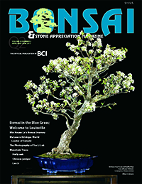 BSAM-11Q2-cover-thumbnail