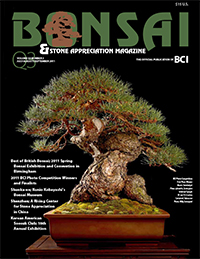 BSAM-11Q3-cover-thumbnail