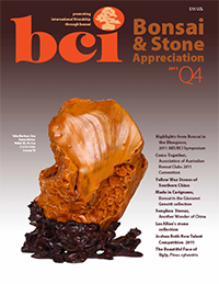 BSAM-11Q4-cover-thumbnail