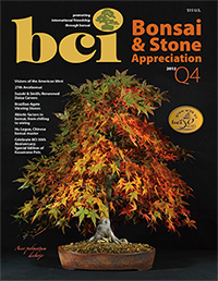 BSAM-12Q4-cover-thumbnail
