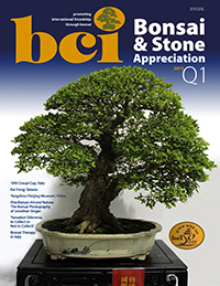 BSAM-13Q1-cover-thumbnail