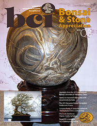 BSAM-13Q3-cover-thumbnail