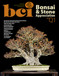 BSAM-14Q1-cover-thumbnail1
