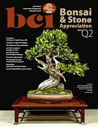 BSAM-15Q2-cover-thumbnail