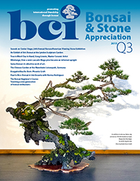 BSAM-15Q3-cover-thumbnail