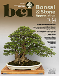 BSAM-2016Q4-thumbnail