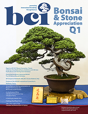 mag 2018Q1 cover 180