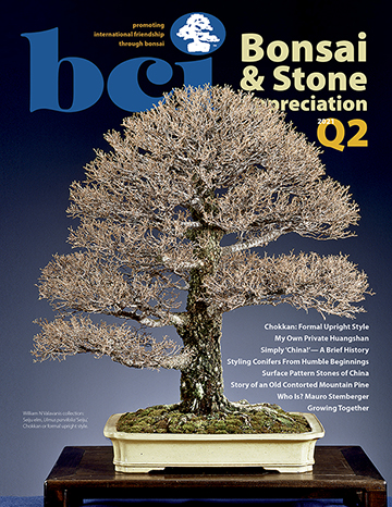 mag 2021Q2 cover 360