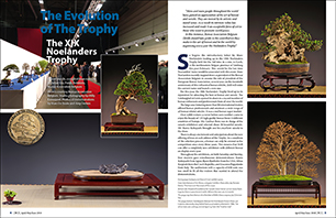 The Evolution of the Trophy | XIX Noelanders Trophy