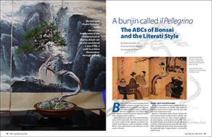 The ABCs of Bonsai and the Literati Style| Massimo Bandera