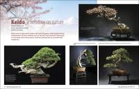 Keido, - a window on nature