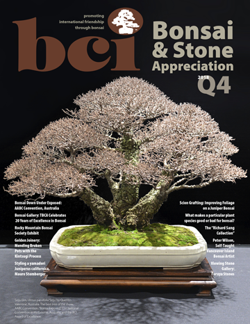 mag 2018Q4 cover 360