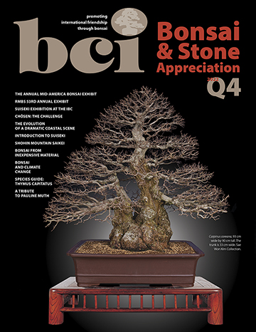 Q4-2022 Bonsai & Stone Appreciation Magazine