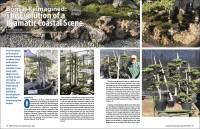 Bonsai Reimagined: The Evolution of a Dramatic Coastal Scene