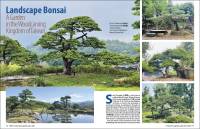 Landscape Bonsai