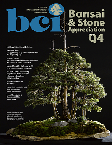 Bonsai & Stone Appreciation Magazine Q4-2017