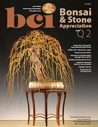 bsam-12q2-cover-hero4
