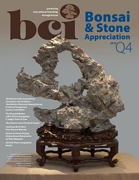 mag 2015Q4-cover